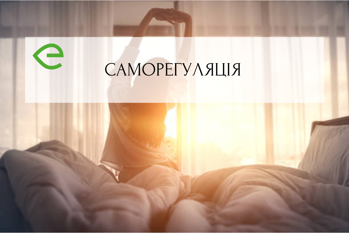 Саморегуляція як метод стабілізації